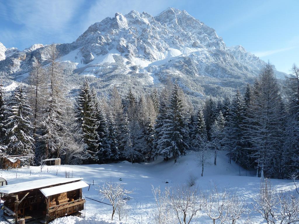 Appartamenti da Nica e Diego Borca di Cadore Quarto foto